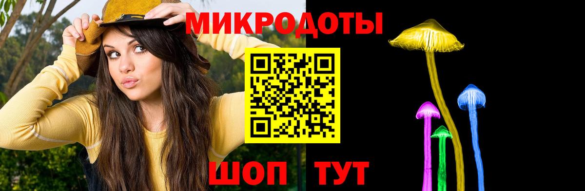 Псилоцибиновые грибы Psilocybine cubensis  Вход с VPN  Якутск 